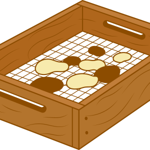 Graphic of small rocks or ceramics in an an archaeology field box.